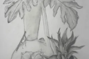 graphite1