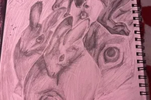 harestudy